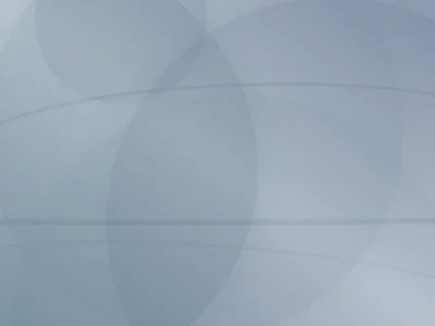 안전한 총판 파트너십